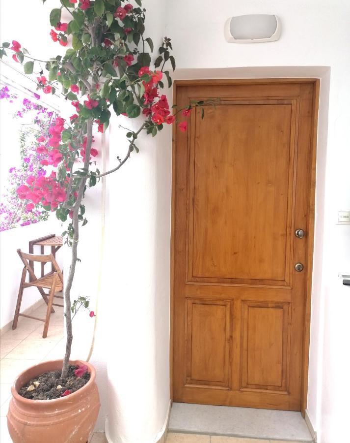 Casa Athena Naxos Apartment Naxos City Екстериор снимка
